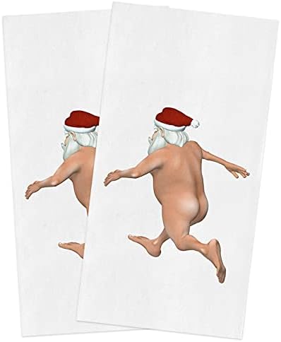 Beisseid Christmas Kitchen Dish Towels