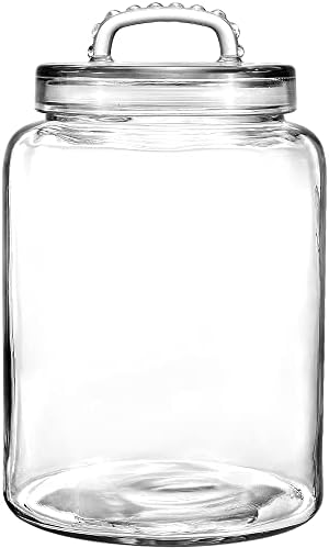 3-Gallon Glass Jar with Lid - Storage Solution