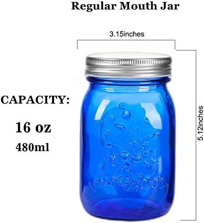 Amzcku 6-Pack Blue Mason Jars for Canning Storage