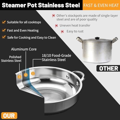 Stainless Steel 2-Tier Steamer Pot