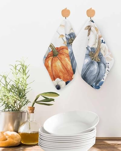 HABTUCYOrange Blue White Pumpkins Dish Towel Set Waffle Weave 2-Piece