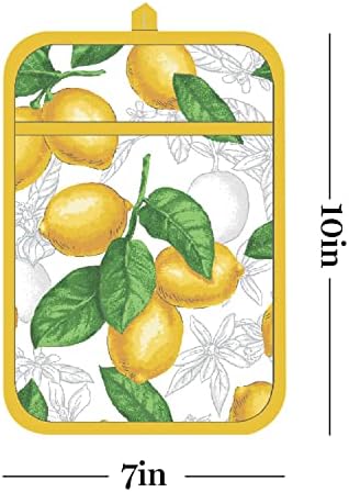 Martha Stewart Lots of Lemons 4-Piece Kitchen Set