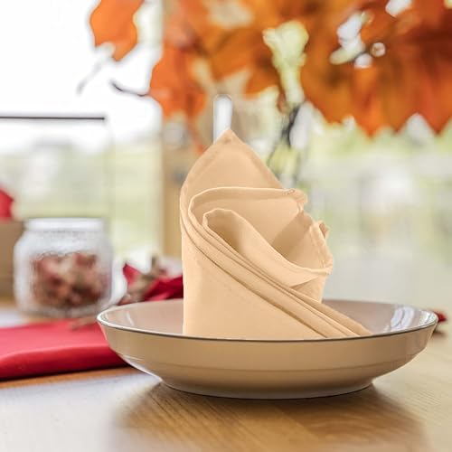 100 Polyester Durable Cloth Napkins 17x17
