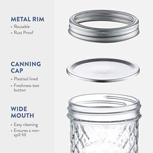 Paksh Novelty 16 oz Mason Jars 6-Pack with Lids and Seals