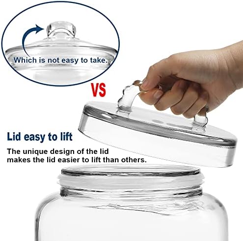 3-Gallon Glass Jar with Lid - Storage Solution