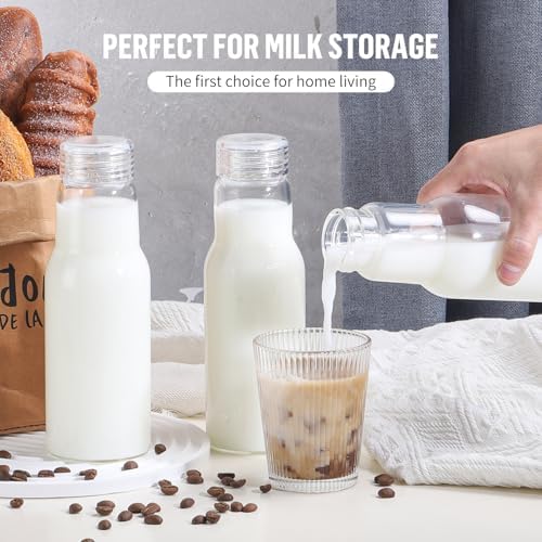 17oz Glass Bottles with Lids - High-Quality Storage Solutions