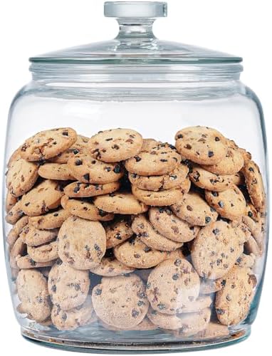 25 Gallon Glass Jars with Lids