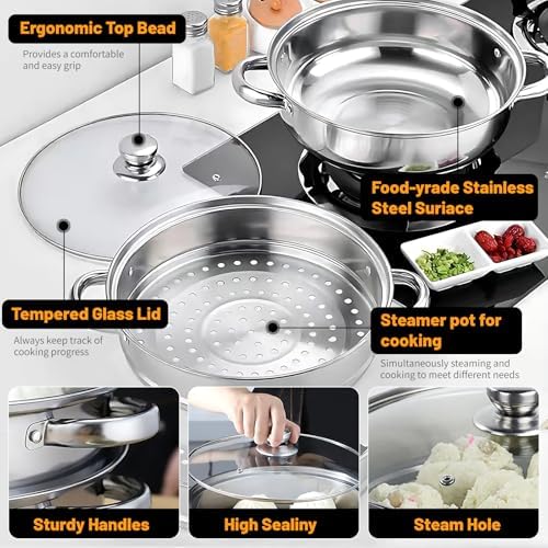 Stainless Steel 2-Tier Steamer Pot