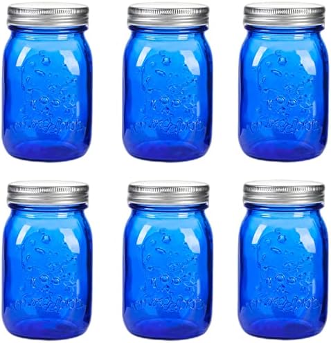 Amzcku 6-Pack Blue Mason Jars for Canning Storage