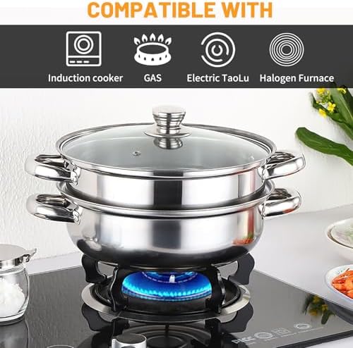 Stainless Steel 2-Tier Steamer Pot