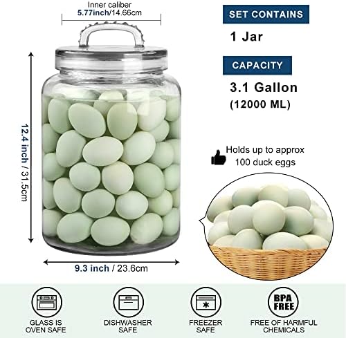 3-Gallon Glass Jar with Lid - Storage Solution