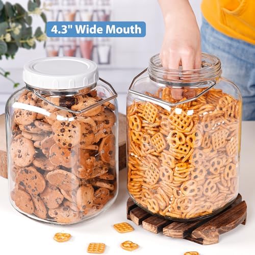 15 Gallon Glass Jars with Airtight Lid for Canning Storage