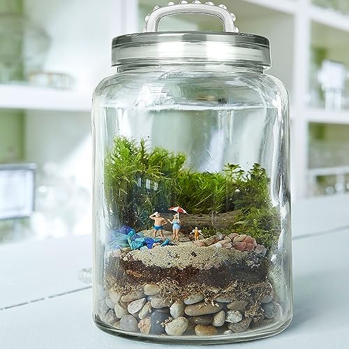 3-Gallon Glass Jar with Lid - Storage Solution