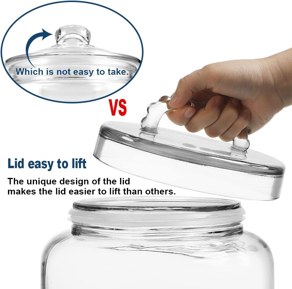 3-Gallon Glass Jar with Lid - Storage Solution