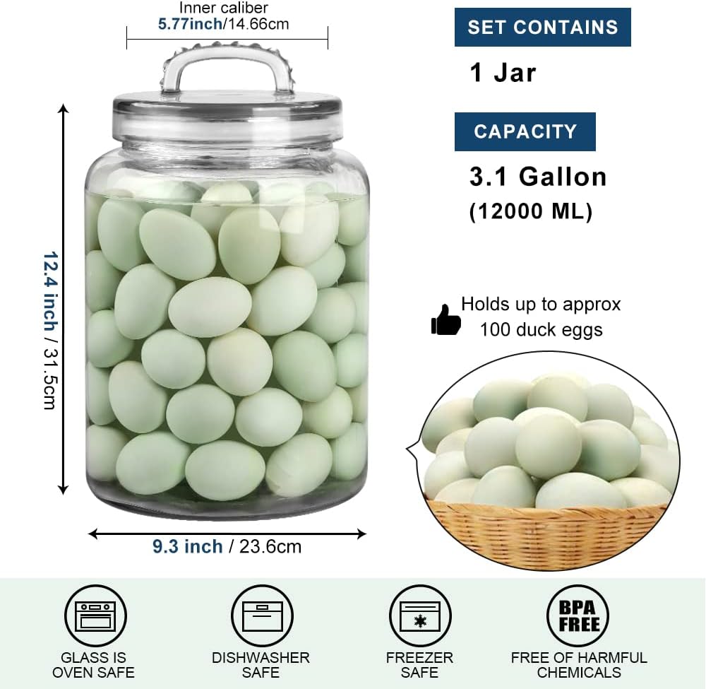 3-Gallon Glass Jar with Lid - Storage Solution