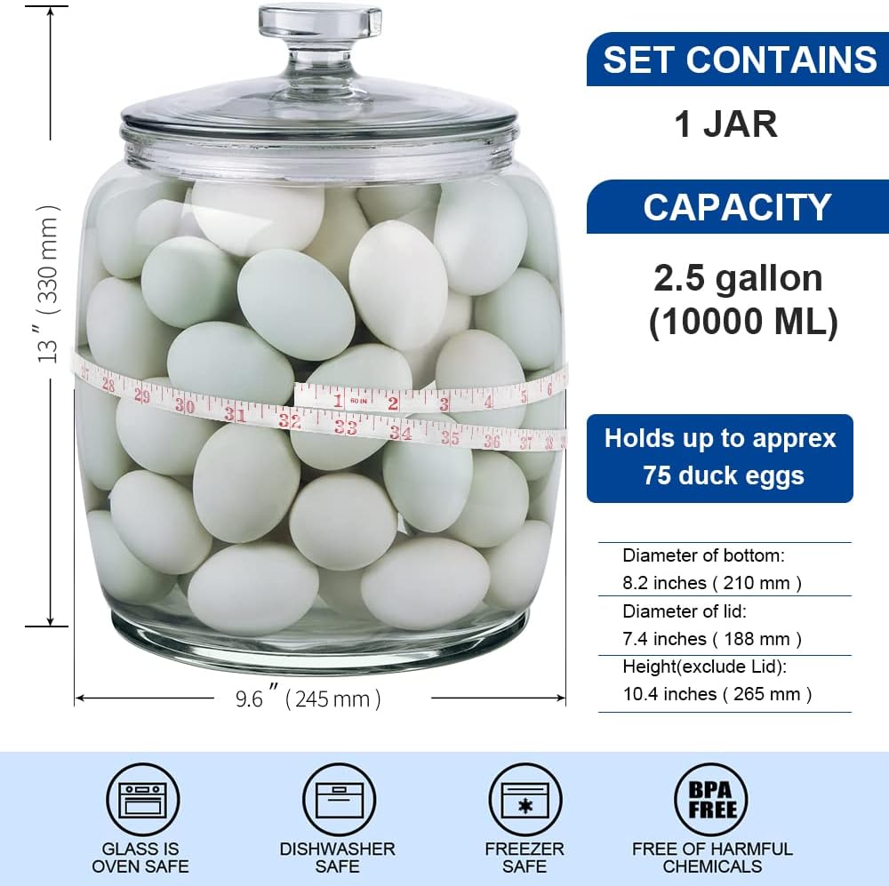 25 Gallon Glass Jars with Lids