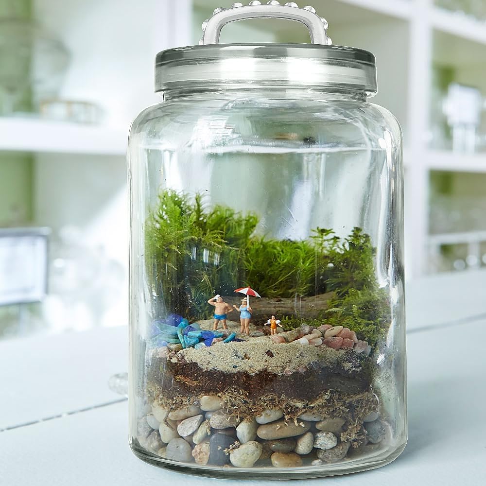 3-Gallon Glass Jar with Lid - Storage Solution