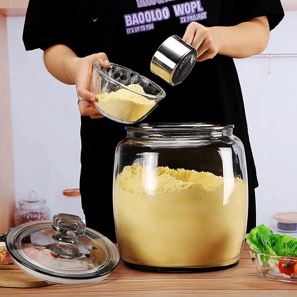 25 Gallon Glass Jars with Lids