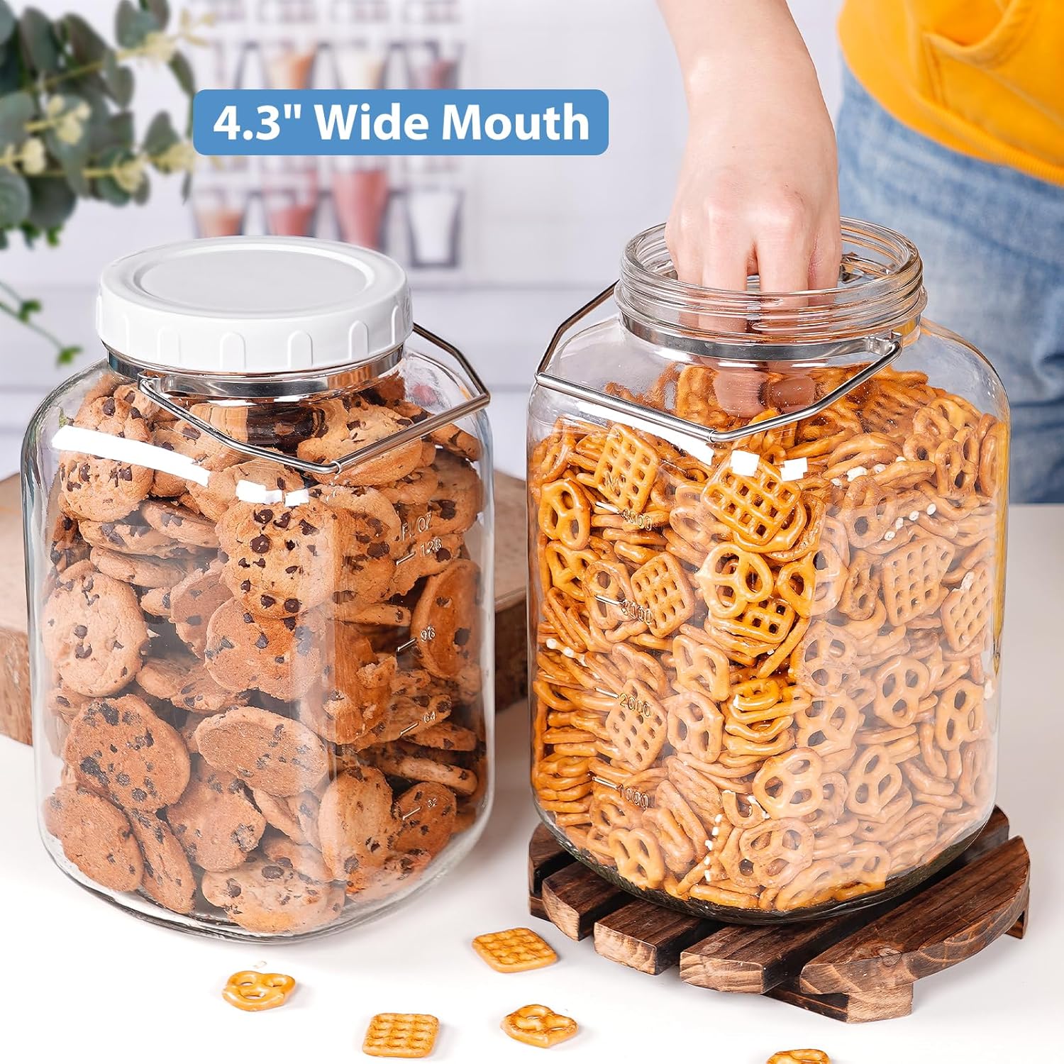 15 Gallon Glass Jars with Airtight Lid for Canning Storage
