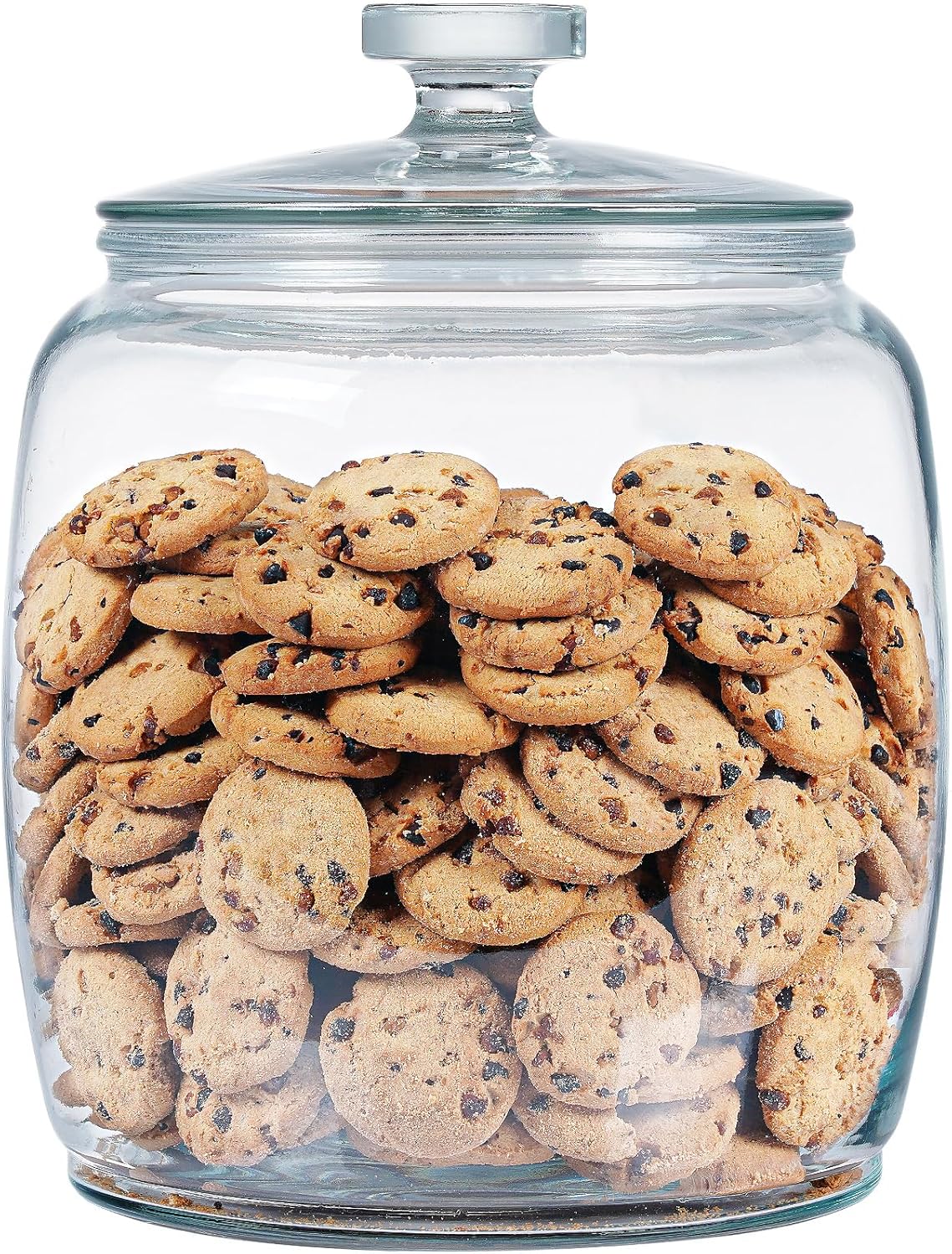 25 Gallon Glass Jars with Lids
